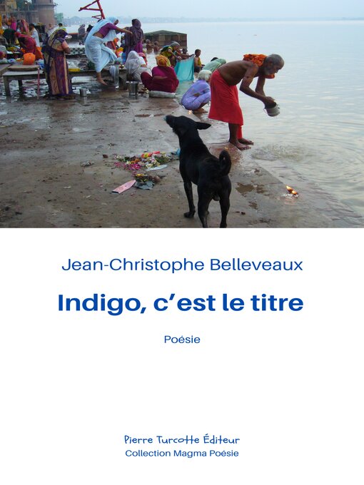 Title details for Indigo, c'est le titre by Jean-Christophe Belleveaux - Available